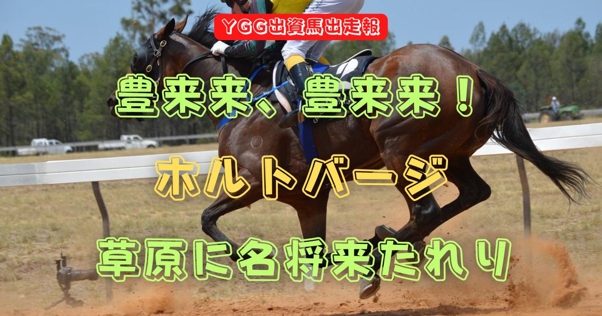 豊来来、豊来来！　ホルトバージ　草原に名将来たれり